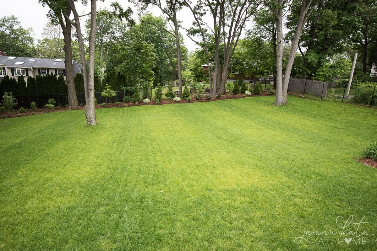 Finished green lawn after pool removal